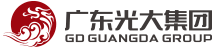 广东LEDONG体育官方网站集团